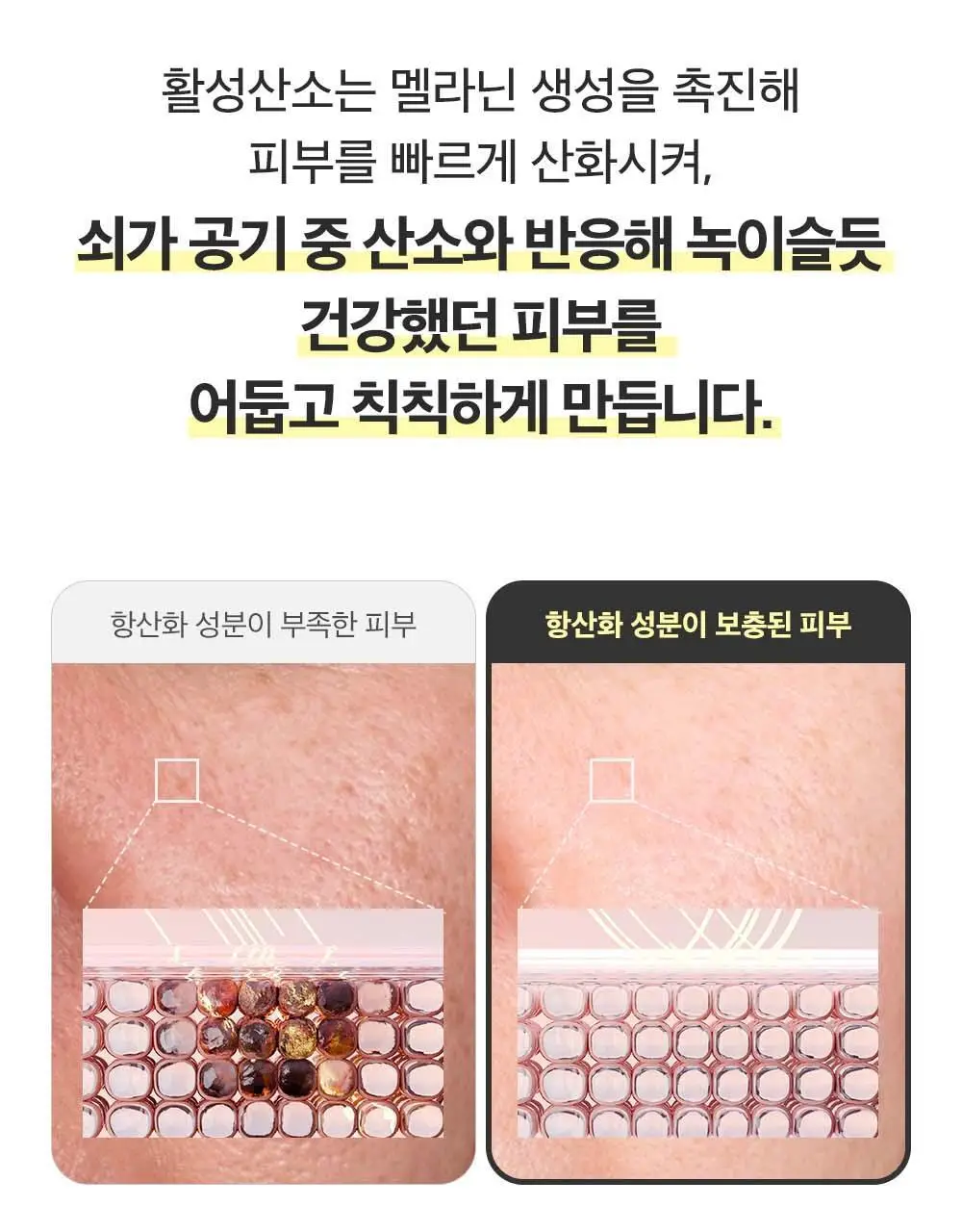 [잡티미백케어] 성분에디터 머루포도 비타씨 다크 스팟 앰플 40ml 상세페이지 11
